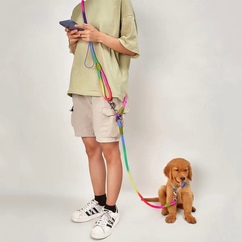 Laisse lasso pour chiot colorer tenant un chiot brun