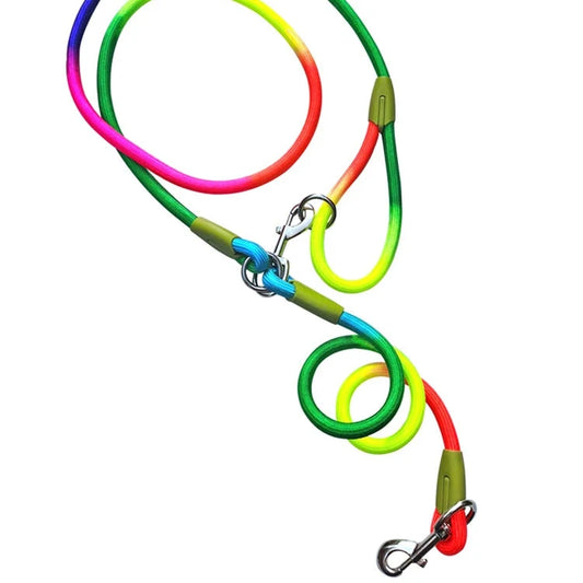 Laisse lasso pour chiot multicolor