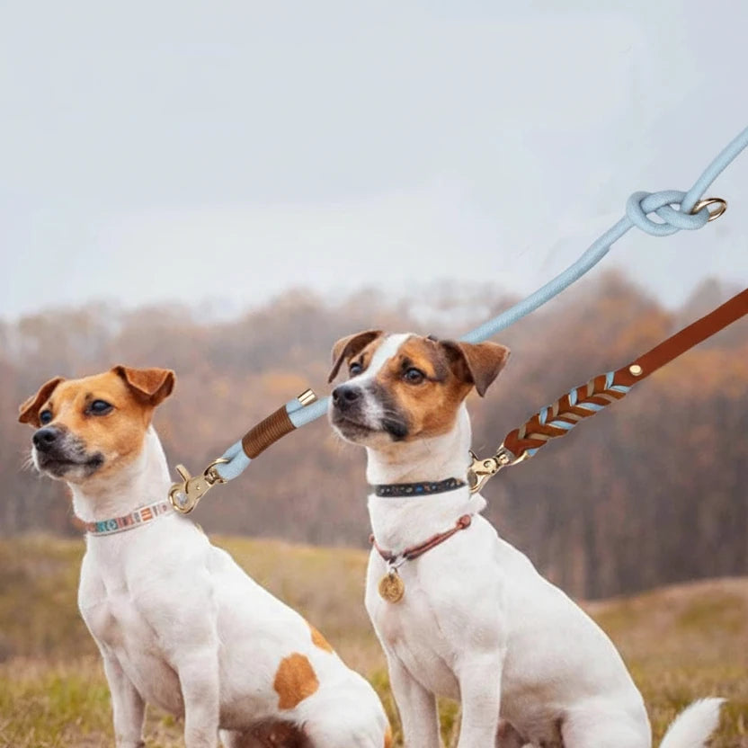 Laisse lasso pour gros chien qui tient deux chiens blancs Image