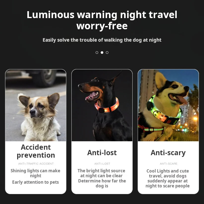 Laisse lumineuse pour chien avantages du produit  Image