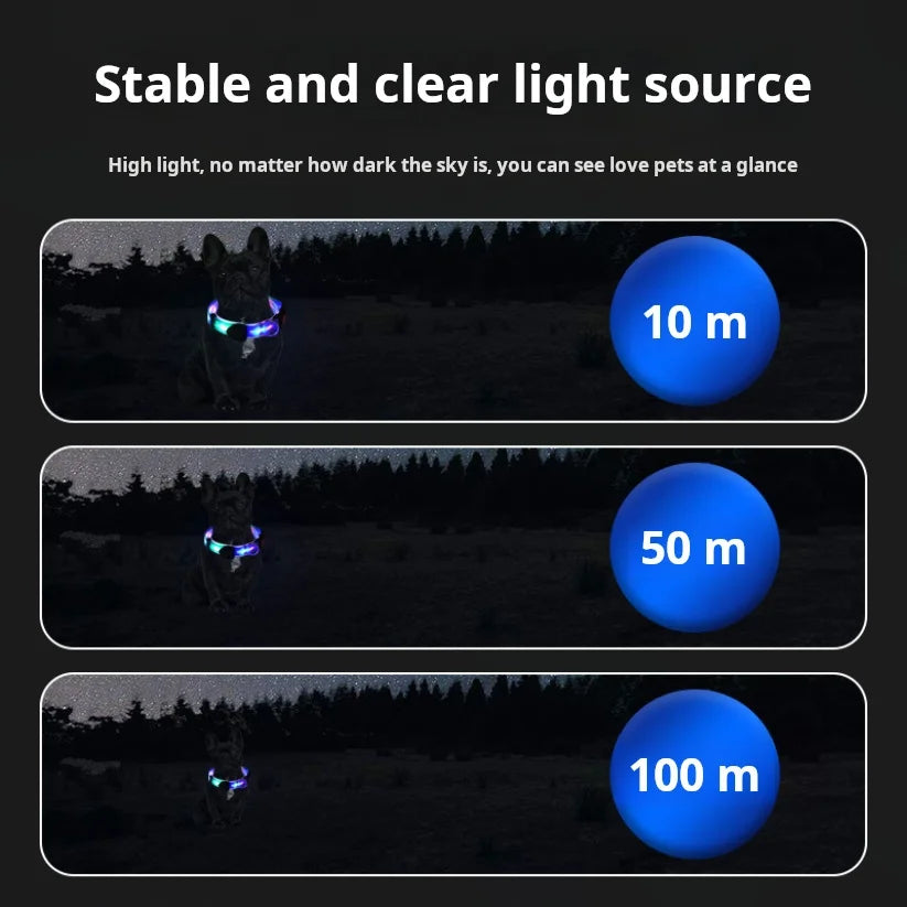 Laisse lumineuse pour chien distance de visibilité  Image