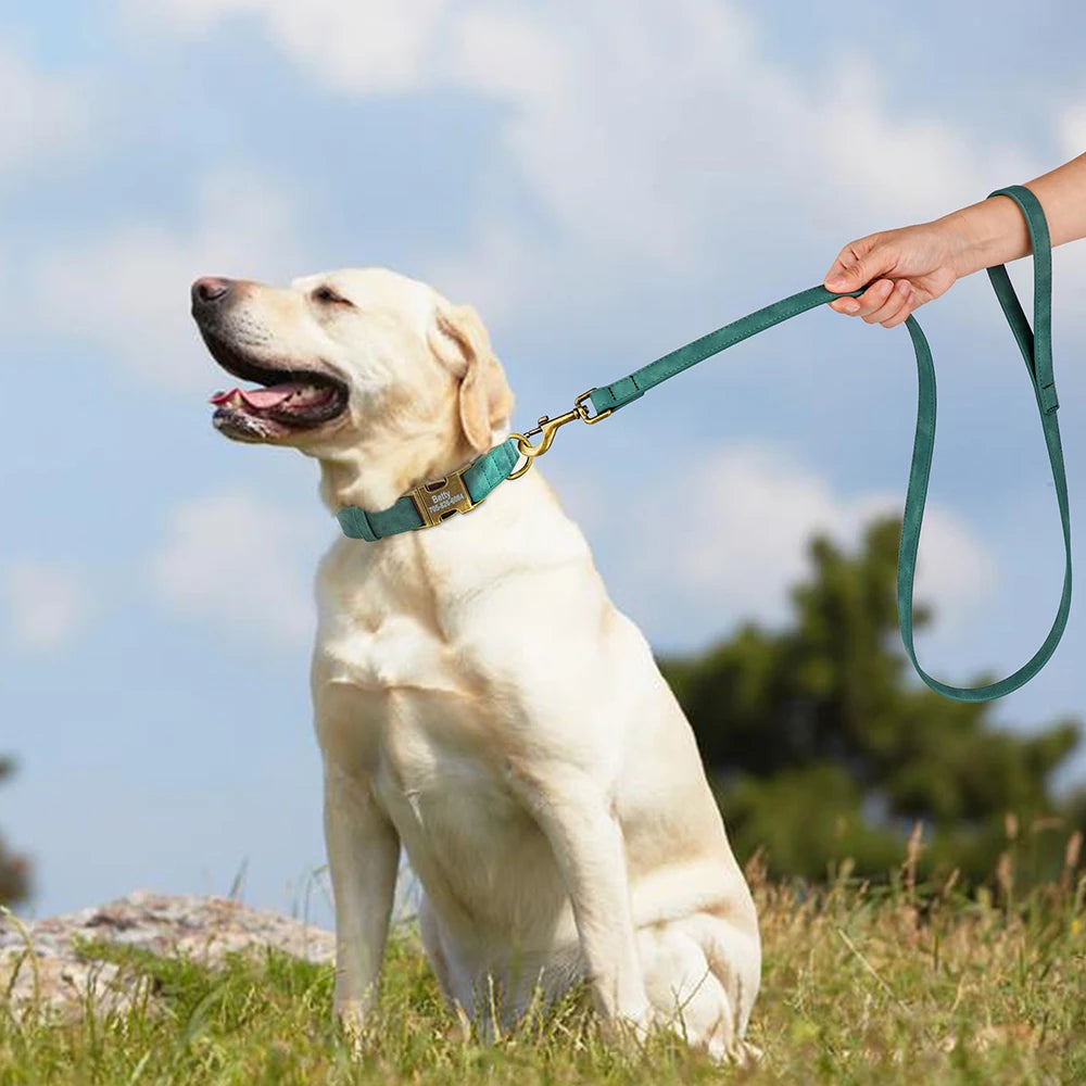 Laisse pour chien cuir sur un grand chien blanc de couleur blanc dans les champs Image
