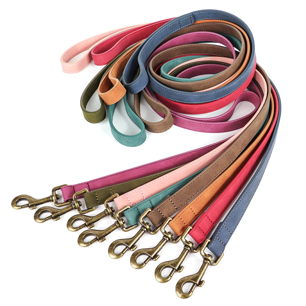 Laisse pour chien cuir mis en valeur  Image