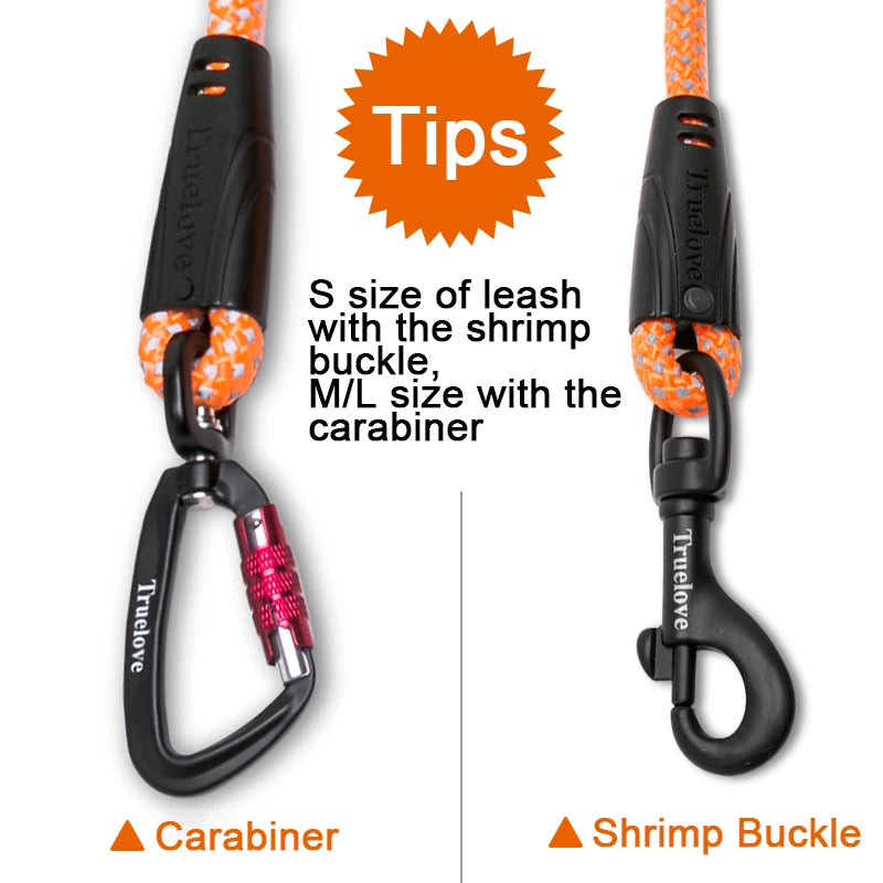 Laisse pour chien de chasse avantages Image