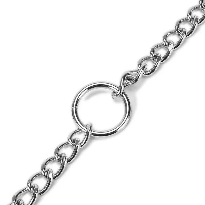 Laisse pour chien double mousqueton anneau