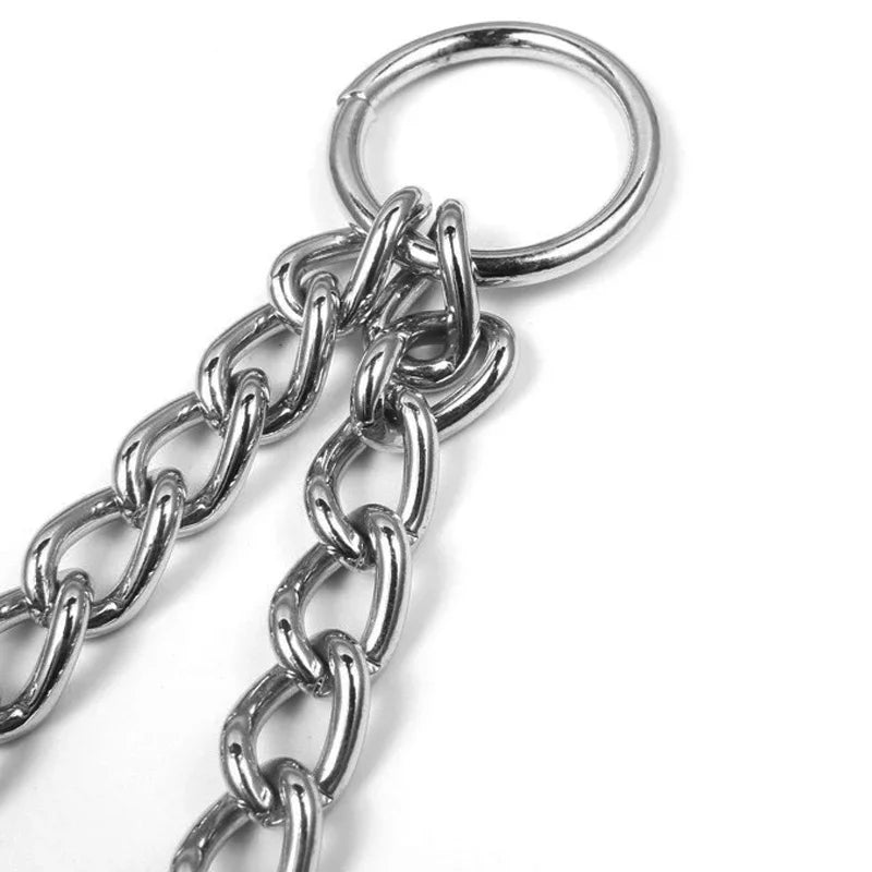 Laisse pour chien double mousqueton anneau d'attache