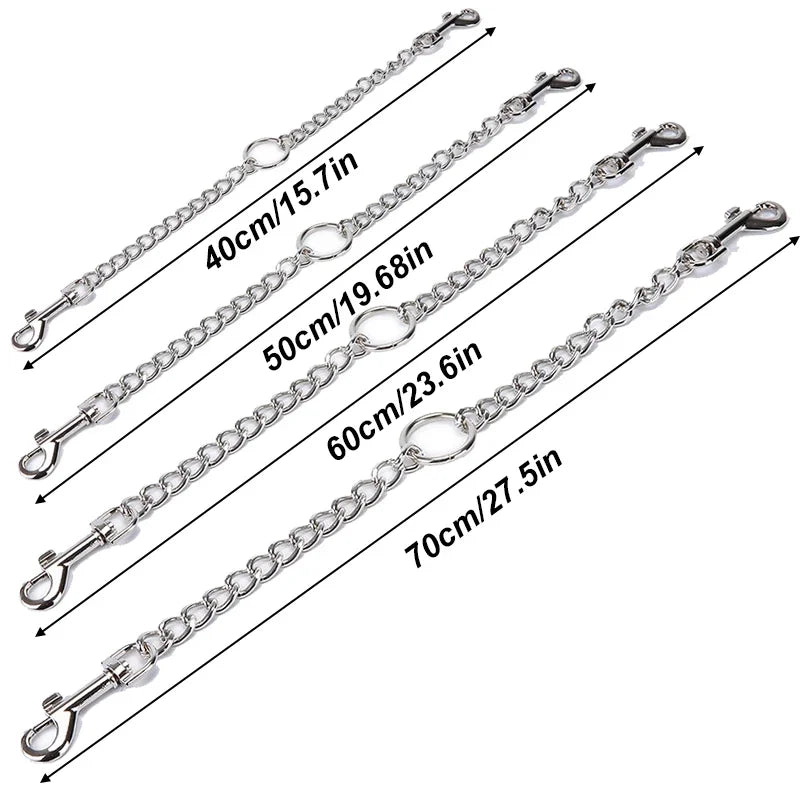 Laisse pour chien double mousqueton dimensions