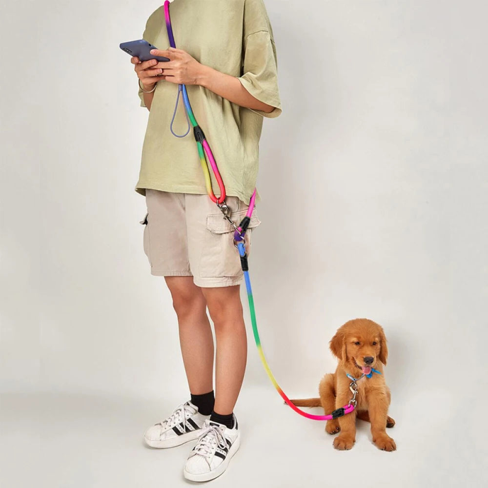 Laisse pour chien en nylon avec un homme tenant le petit chien brun Image
