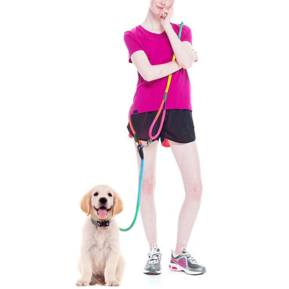 Laisse pour chien en nylon avec une femme tenant le petit chien en laisse Image