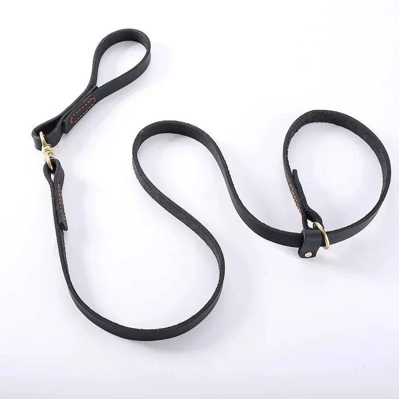 Laisse pour chien husky complètement deplie
 Image