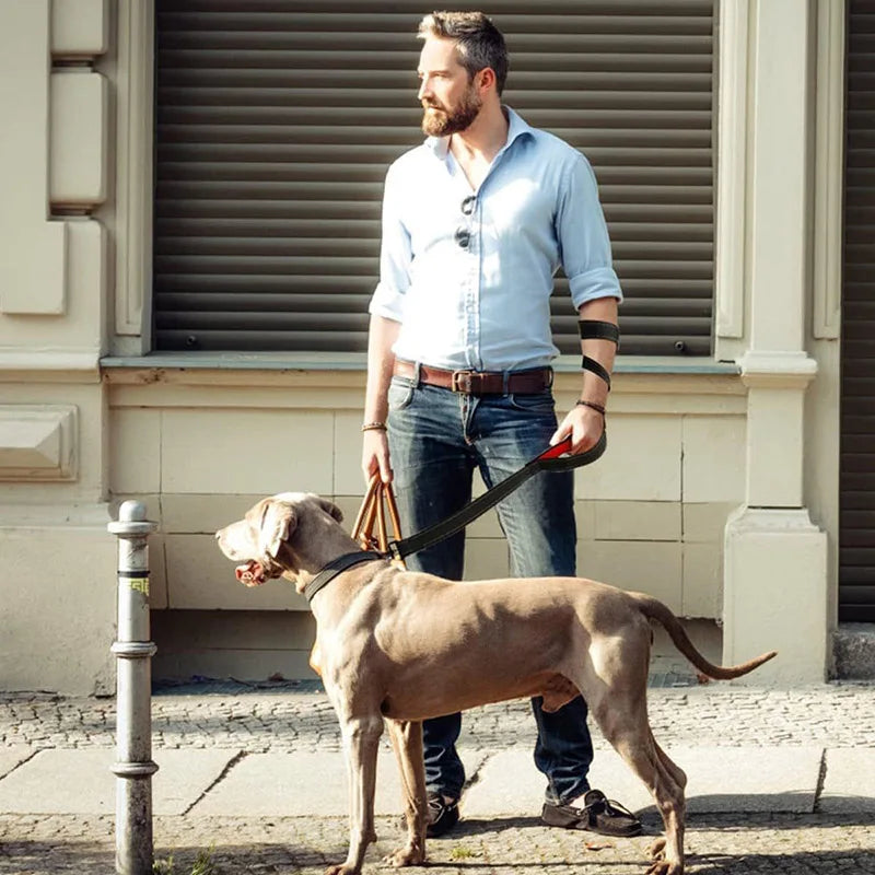 Laisse pour chien puissant avec un homme tenant un chien moyen dans la ville Image