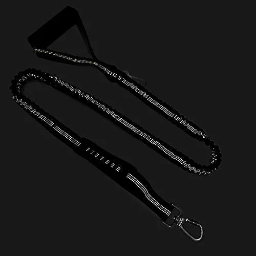 Laisse pour chien retractable réfléchissante Image