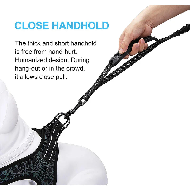 Laisse pour chien retractable  sur un mannequin chien Image