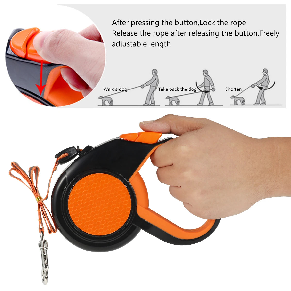 Laisse pour chiot berger allemand fonctionnement du bouton Image