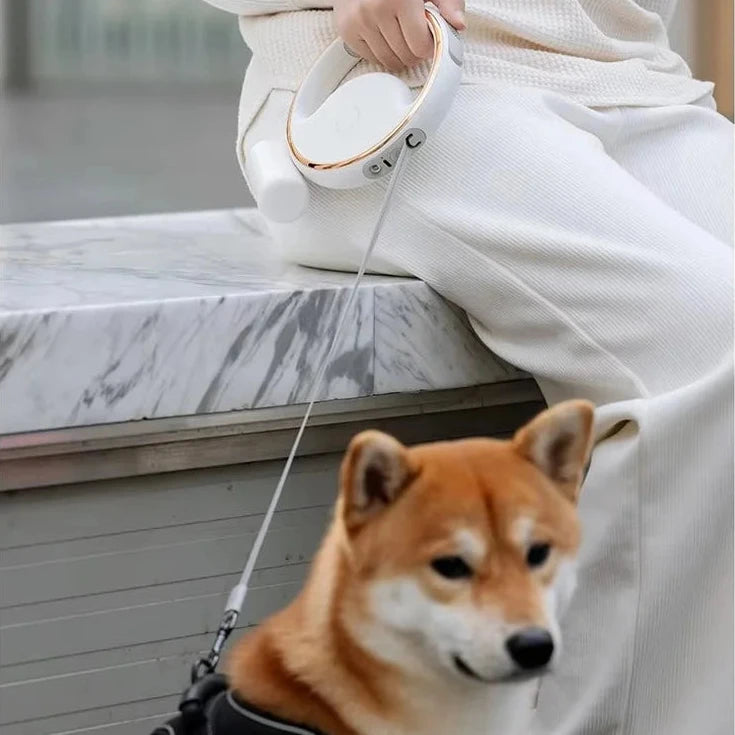 Laisse pour chiot berger australien avec un personne tenant un shiba Image