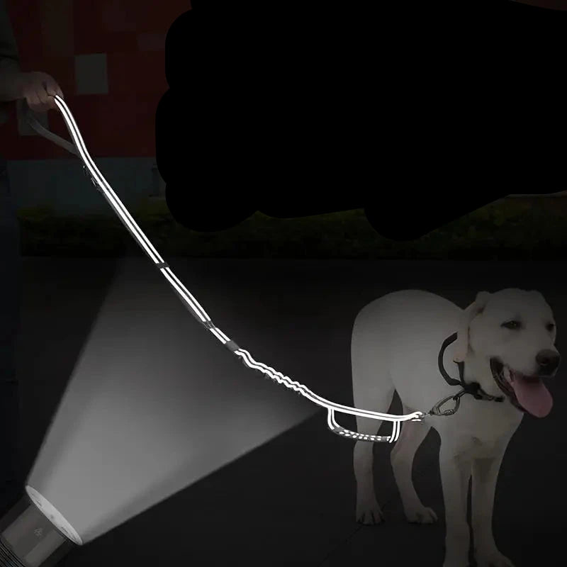 Laisse pour chiot staff reflechissante dans le noir Image