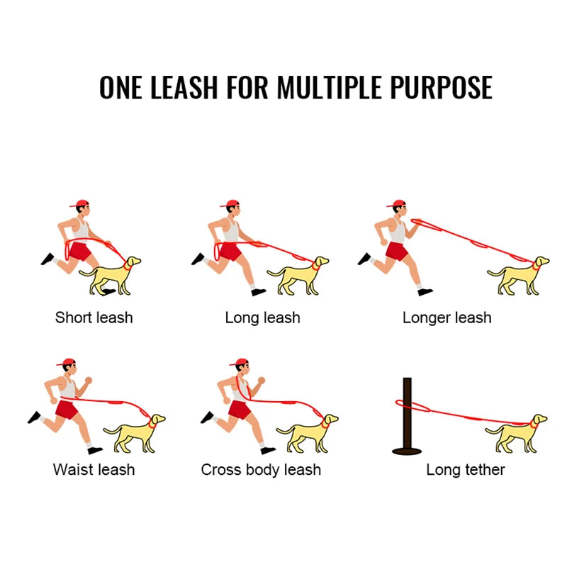 Laisse tactique pour chien fonctions Image