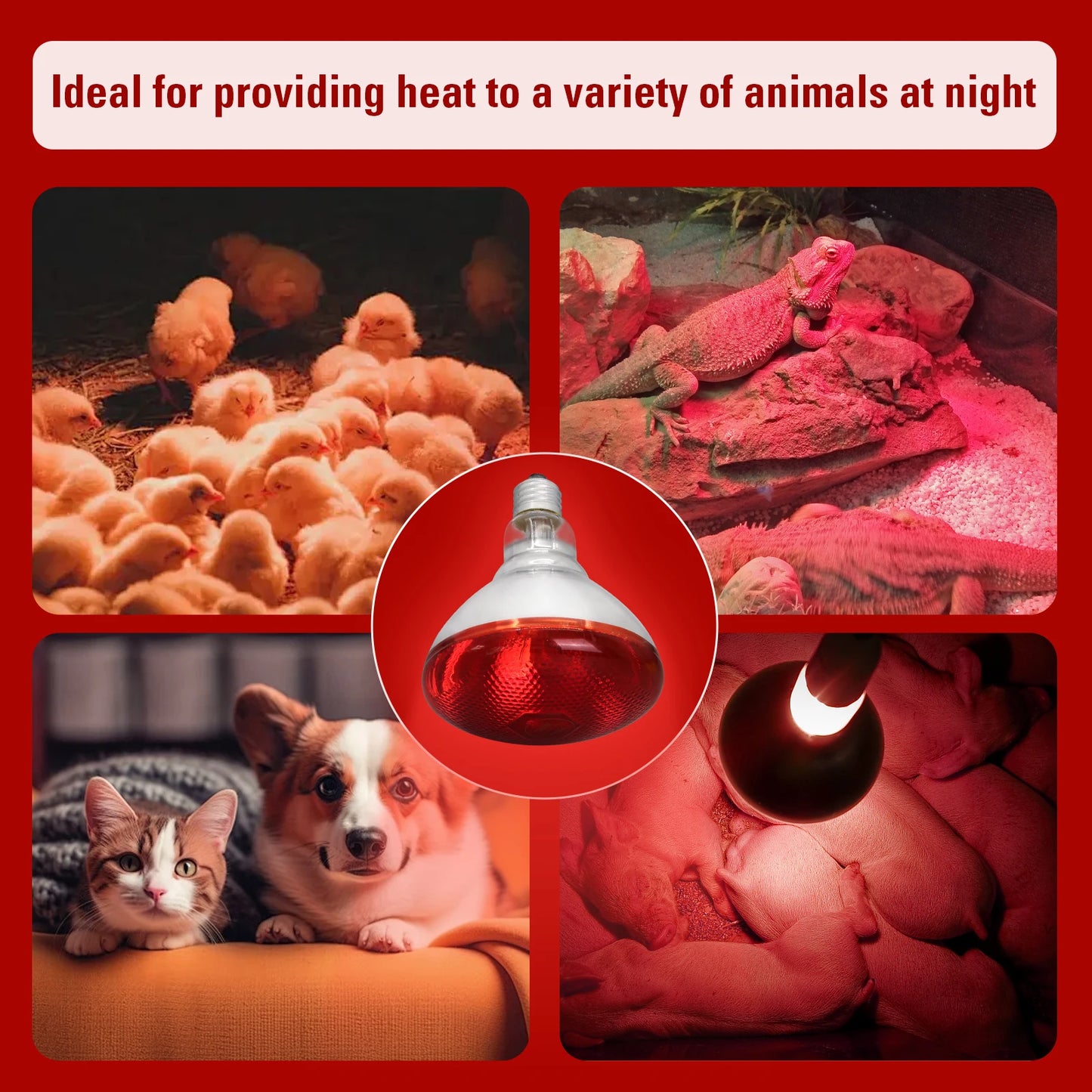 Lampe chauffante chiot 250w avantages