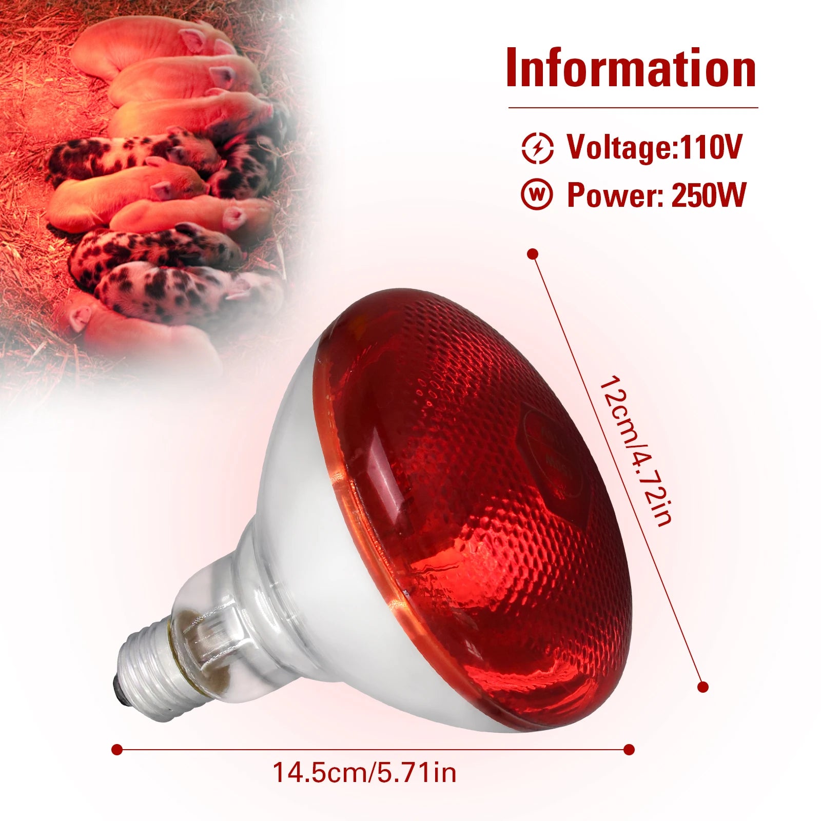 Lampe chauffante chiot 250w dimensions