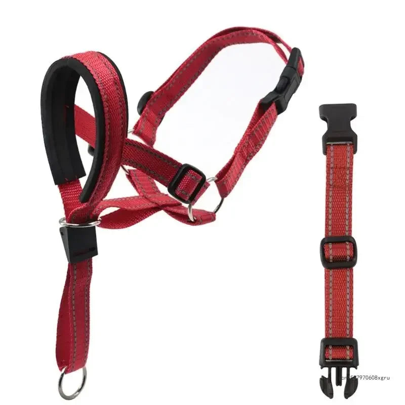 Licol ethologique chien rouge
