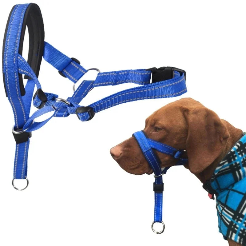 Licol ethologique chien sur un chien brun  Image