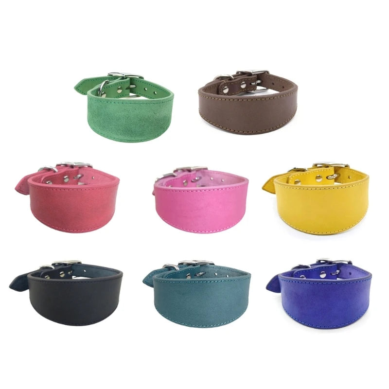 Lot de couleur du collier whippet dans un fond blanc