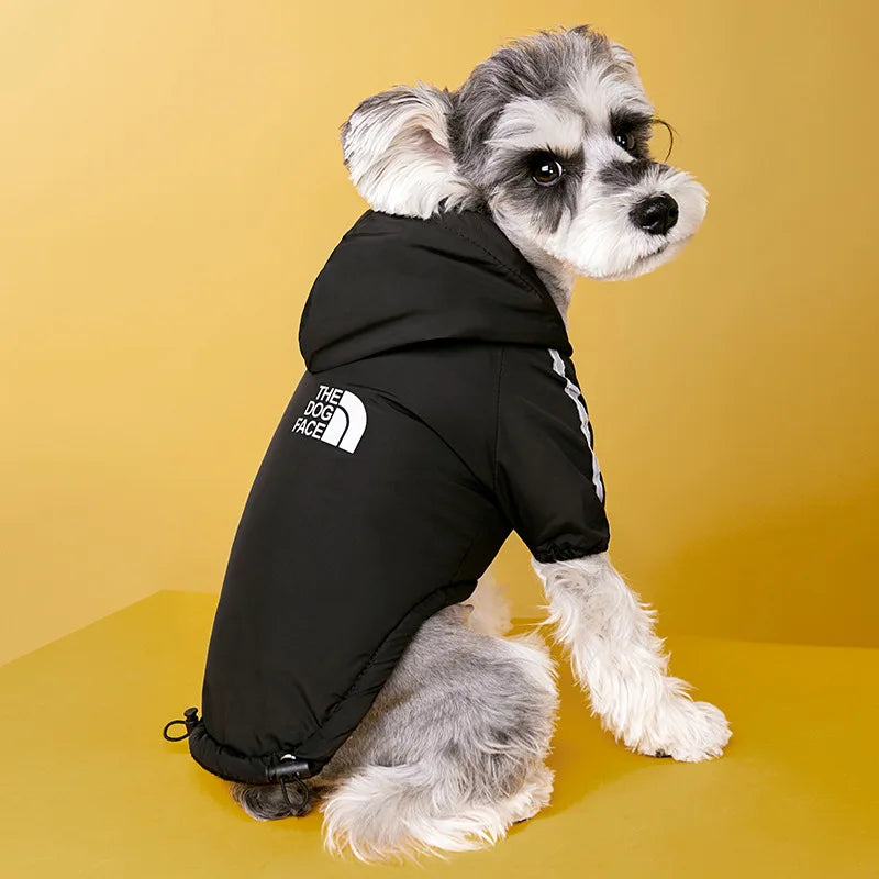 Manteau à capuche chihuahua xxs avec un chien blanc le portant  Image
