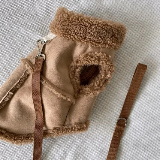 Manteau pour les chihuahua de couleur brun avec une laisse brune. Le manteau et rembourré de chaque côté. Image produit Boutiquechien