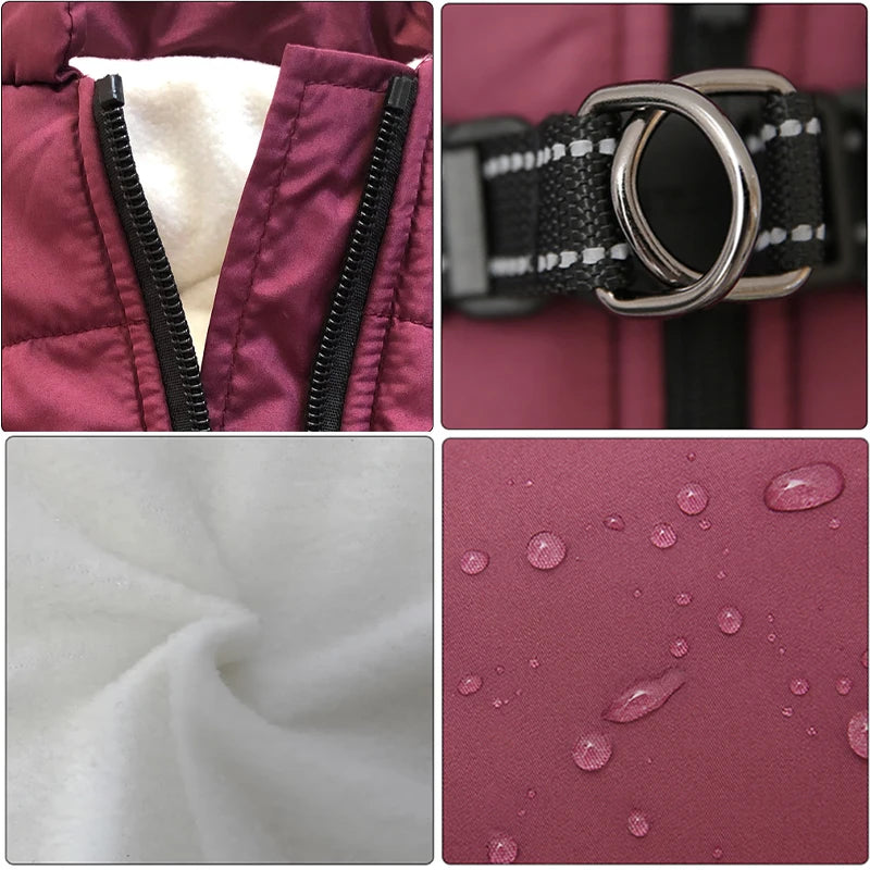 Manteau pour petit chien avec harnais intégré attache et avantages du produit 