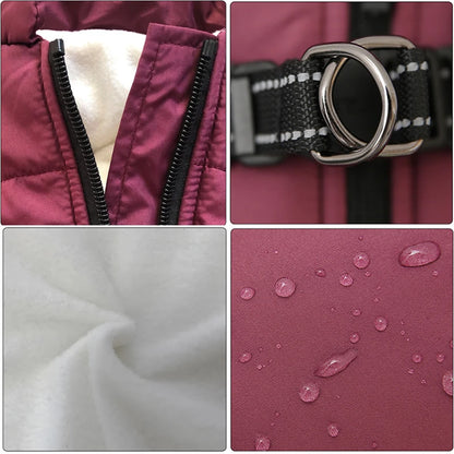 Manteau pour petit chien avec harnais intégré attache et avantages du produit 