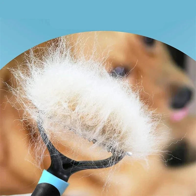 Meilleur brosse pour chien poil long poil Image
