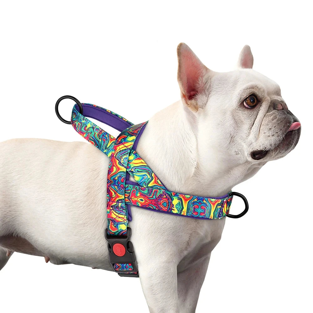 Meilleur harnais chiot sur un buldog Image