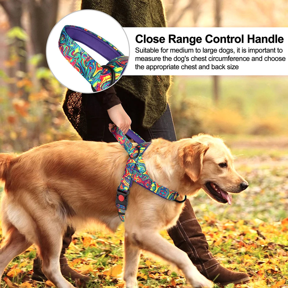 Meilleur harnais chiot tenant un chien dans les bois Image