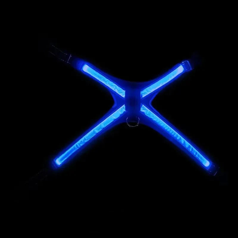 Meilleur harnais en y avec. une lumière sur le dos du harnais 