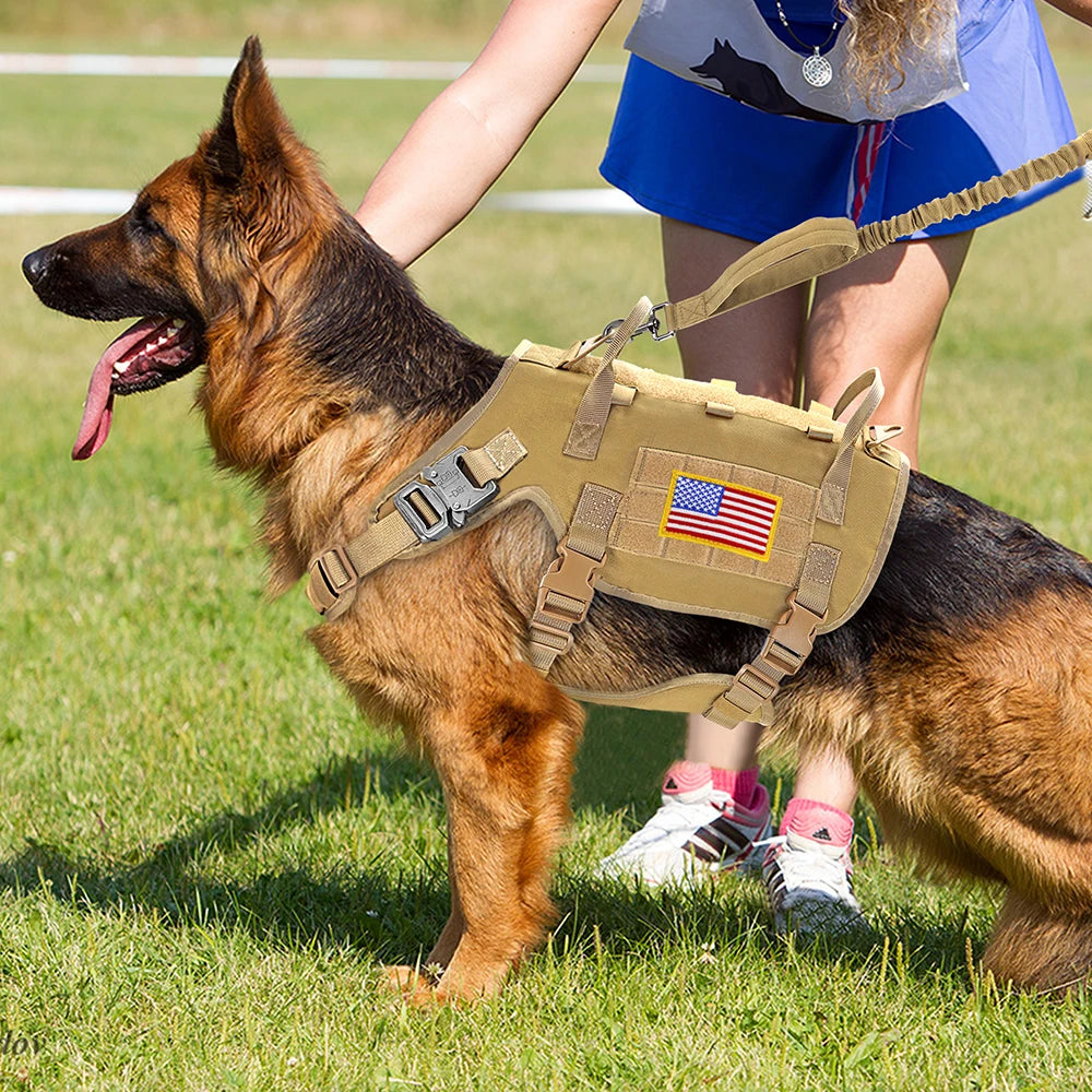 Meilleur harnais pour chien qui tire sur un berger allemand  Image