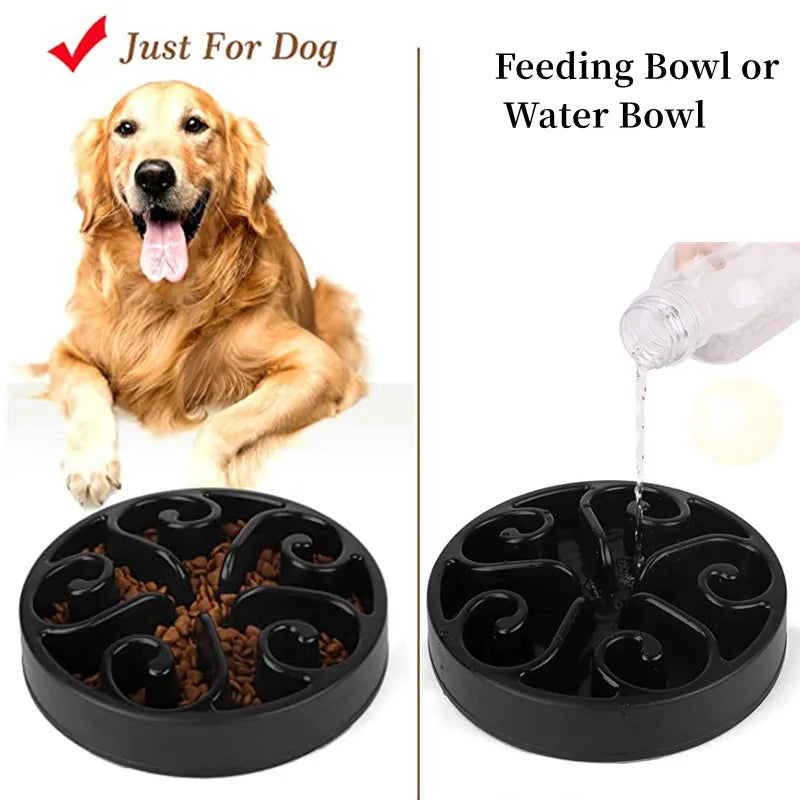 Meilleure gamelle anti glouton chien eau et nourriture Image