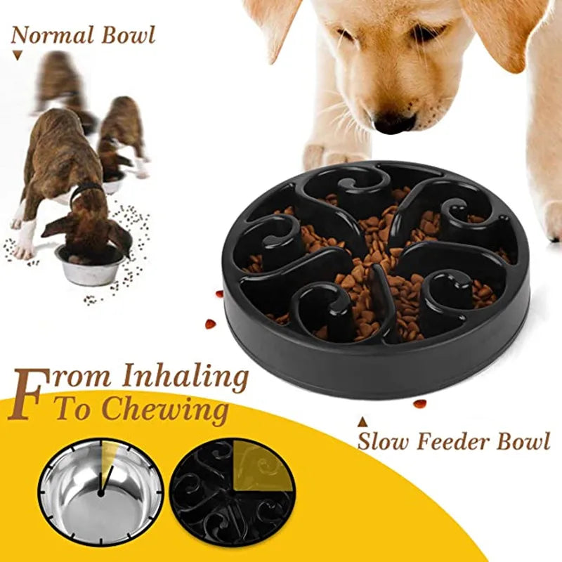 Meilleure gamelle anti glouton chien diminution de l'ingestion Image