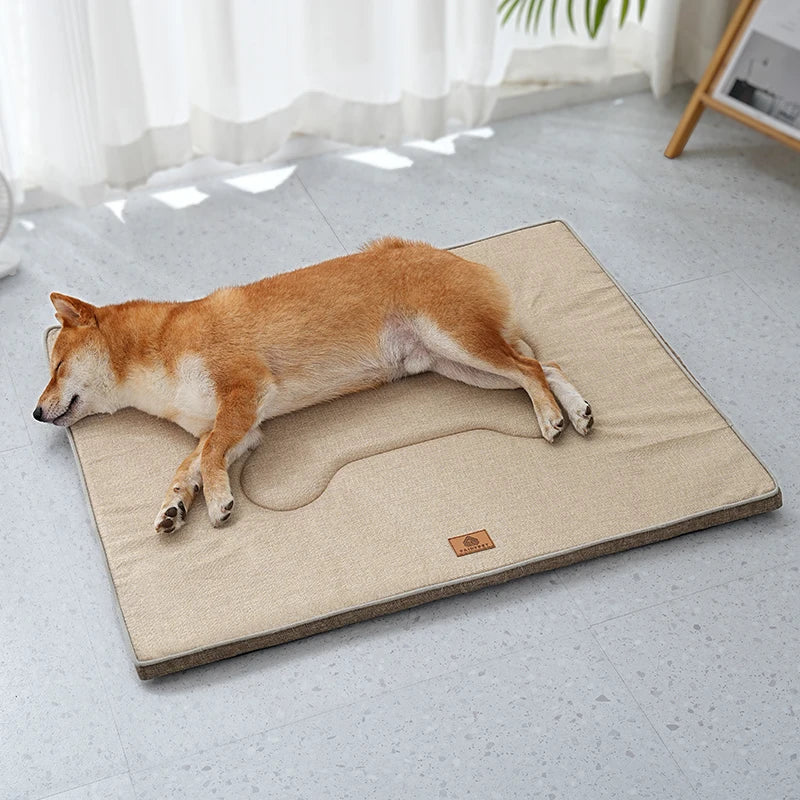 Panier anti stress chien pas cher dans un salon claire  Image