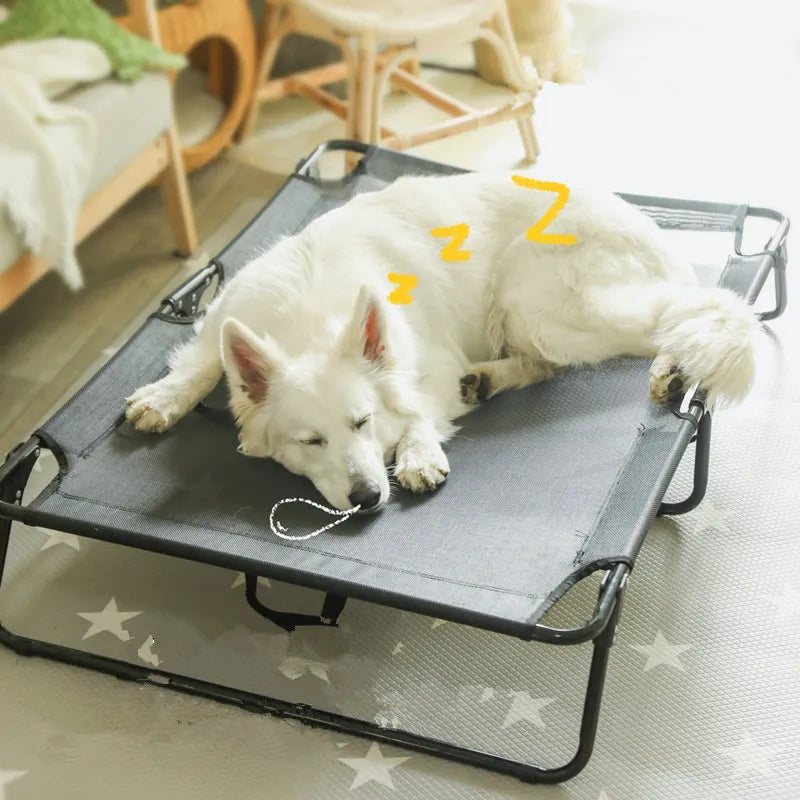 Panier dur pour chien avec un grand chien blanc qui dort dessus  Image