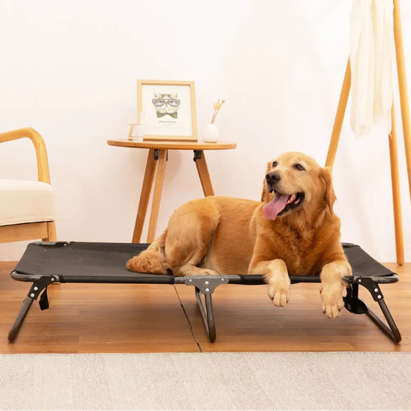 Panier dur pour chien avec un grand chien brun couché dans le salon claire  Image