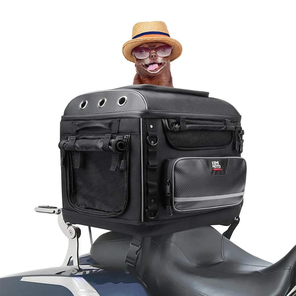 Panier moto pour chien avec un petit chien  Image