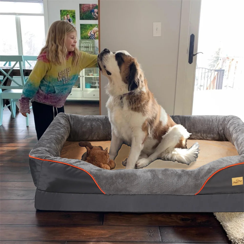 Panier pour chien a memoire de forme avec une enfant caressant son chien Image