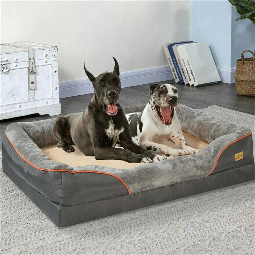 Panier pour chien a memoire de forme avec deux chiens dans un salon claire  Image