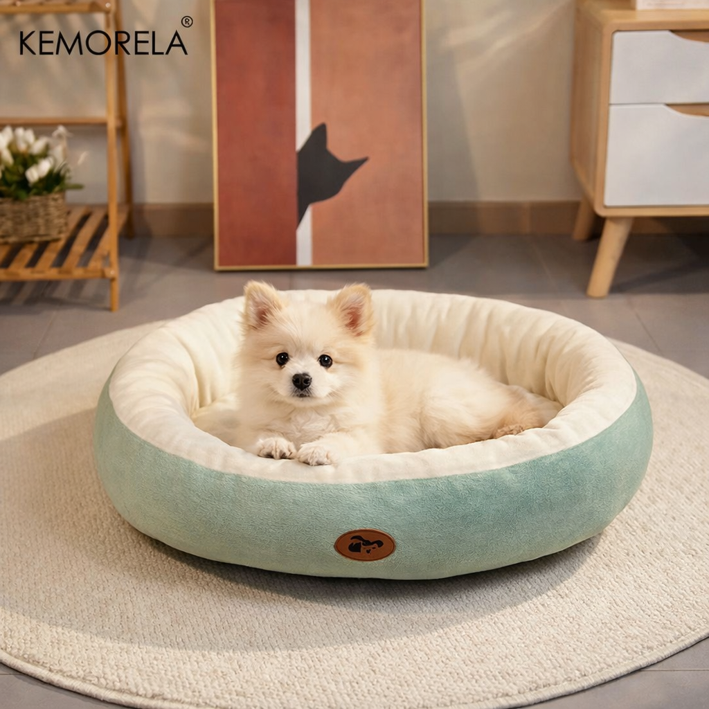 Panier pour chien design pas cher avec un petit chien blanc