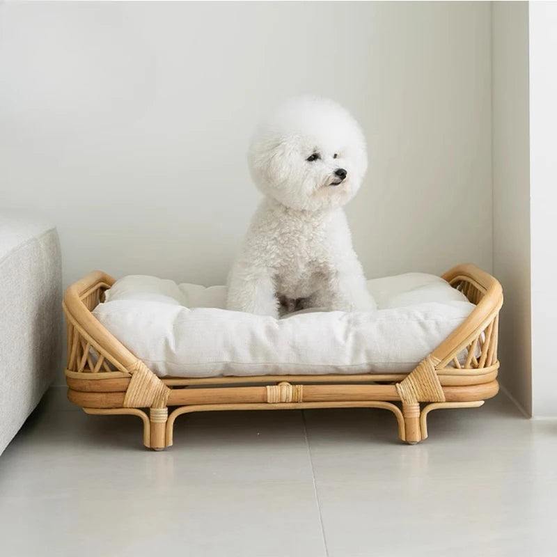 Panier pour chien en rotin avec un chien assis 