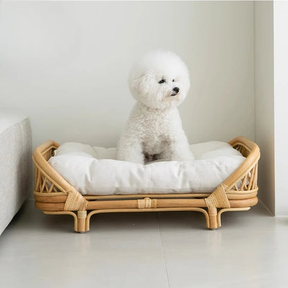 Panier pour chien en rotin avec un chien assis 