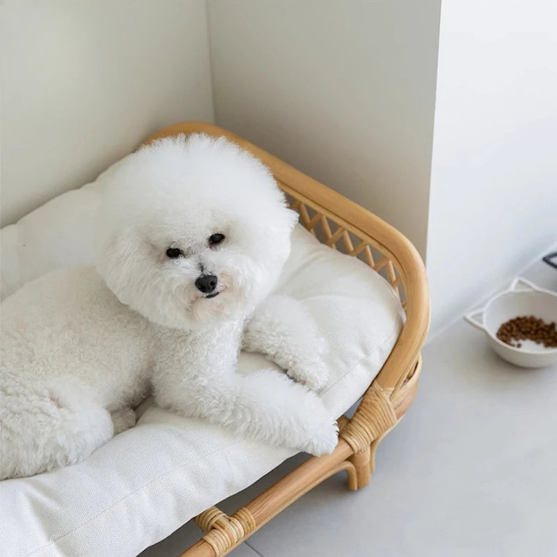 Panier pour chien en rotin dans un coin vu du dessus 