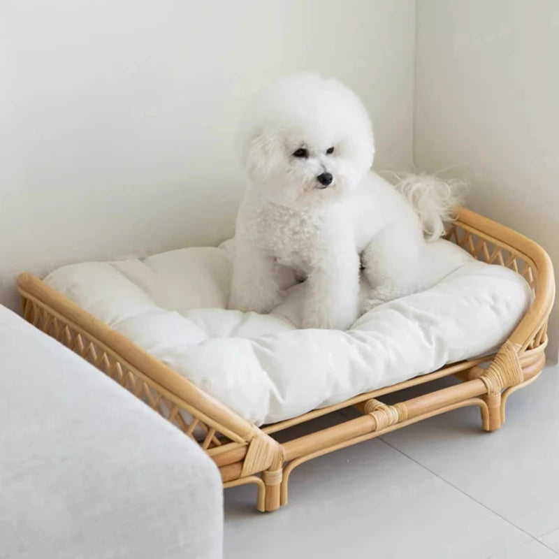 Panier pour chien en rotin avec un chien dans un coin de salon