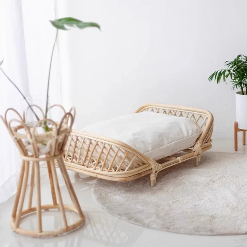 Panier pour chien en rotin dans un salon claire  