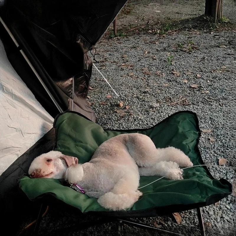 Panier pour chien exterieur avec un chien dehors Image